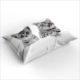 Housse de Couette Chats - Câlin matinal - couettedouillette