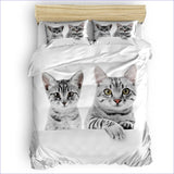 Housse de Couette Chats - Câlin matinal - couettedouillette