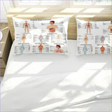 Housse de Couette Originale - Système Digestif -