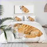 Housse de Couette Bulldog Anglais - couettedouillette